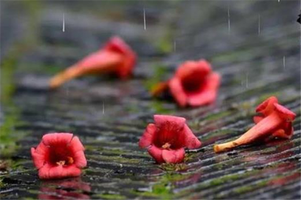 梅雨季節(jié)什么時候開窗通風最好 梅雨季節(jié)開窗通風好不好