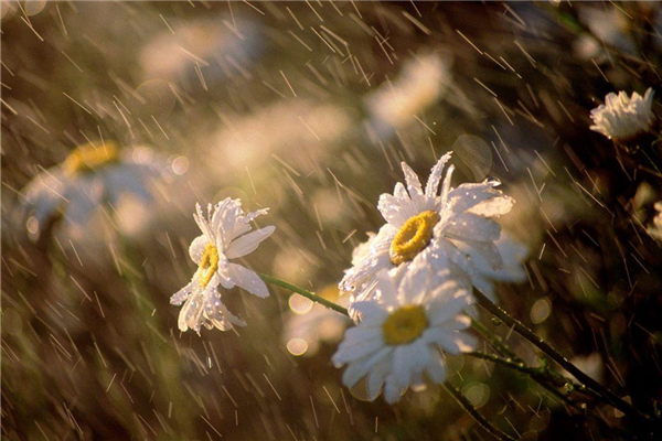 梅雨季節什么時候開窗通風最好 梅雨季節開窗通風好不好