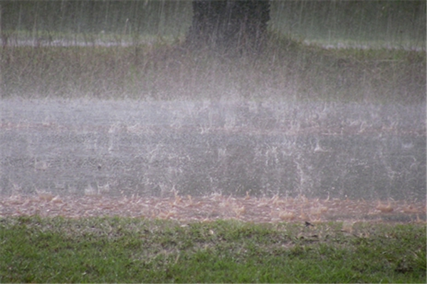 河南新鄉最大持續降水量907毫米 暴雨的形成條件有哪些