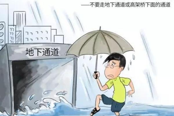 鄭州發暴雨預警后車停滿高架 暴雨應急自救常識