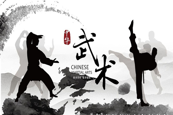 武術幾歲學比較合適 武術小孩子練有什么好處