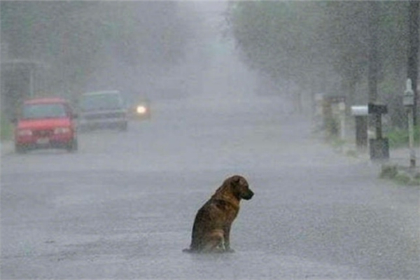 暴雨屬于自然災害嗎 暴雨產生的原因是什么