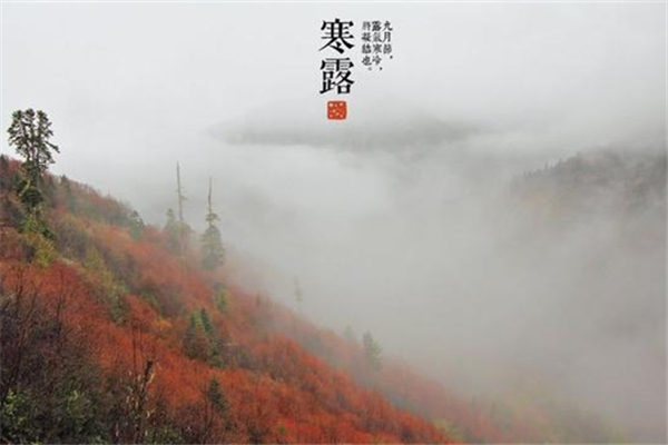 寒露是什么節(jié)氣 寒露會(huì)下霜嗎