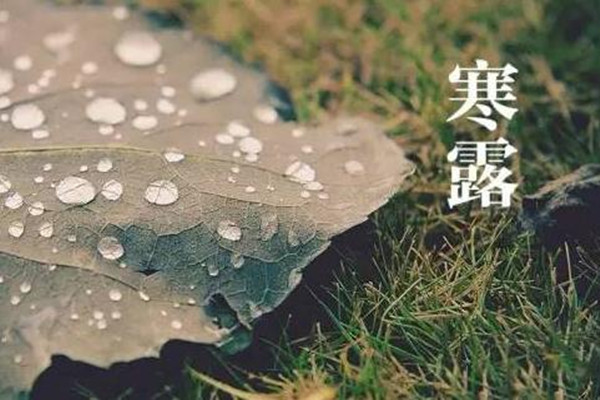 寒露是第幾個節氣 寒露是不是天氣就冷了