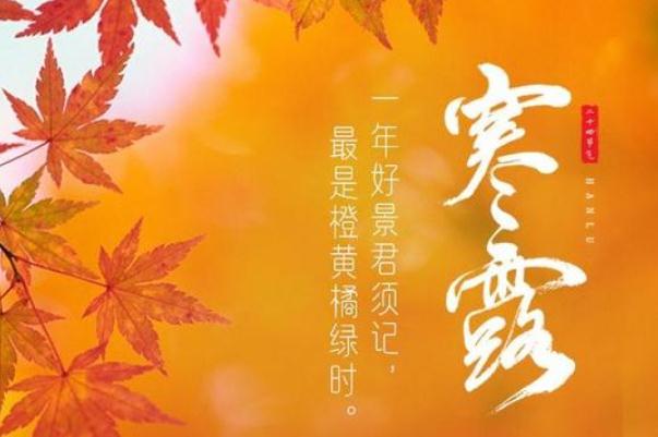 寒露節氣是幾月幾日 寒露節氣如何養生