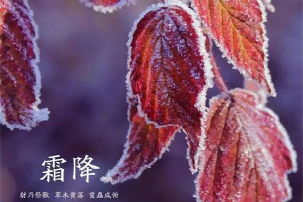 霜降的節氣含義是什么 霜降是幾月幾日2021年