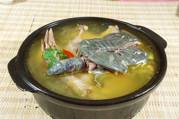 甲魚(yú)燉湯好還是紅燒好 甲魚(yú)怎么做法好吃