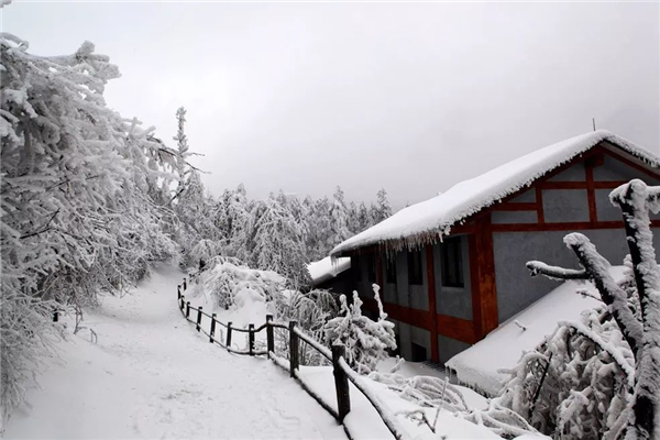 下雪一般是在什么節氣 下雪是什么時候