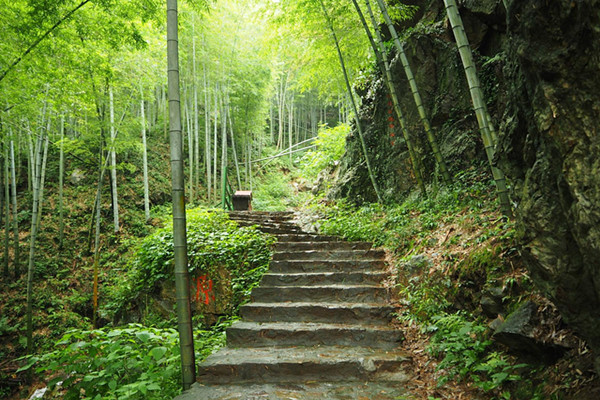 爬山是有氧運動嗎 爬山有什么好處