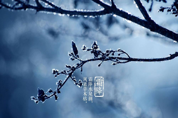 霜降是第幾個節(jié)氣 霜降意味著什么