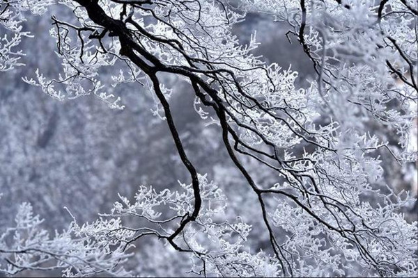 小雪節氣的來歷 小雪節氣有哪些風俗