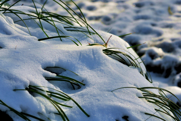 小雪節氣的來歷 小雪節氣有哪些風俗