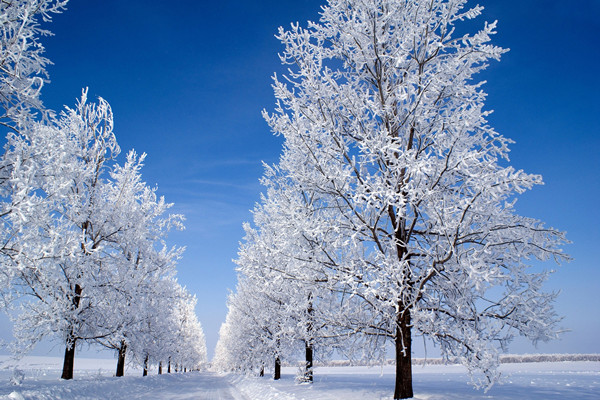 小雪節氣是哪一天 小雪節氣吃什么養生