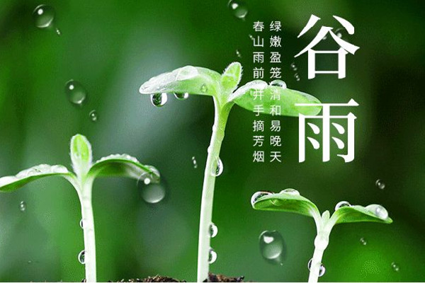 谷雨節氣的特點和風俗 谷雨節氣是幾月幾號