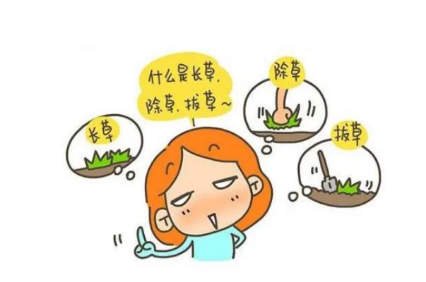 拔草是什么意思 拔草和種草的區別