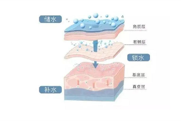 光谷瑞妮可思·科技抗衰中心補水修復項目怎么樣 肌膚修復可以做幾次