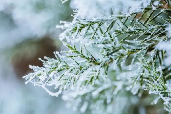 今冬北方首場(chǎng)大范圍雨雪來襲 雨雪天氣要注意什么