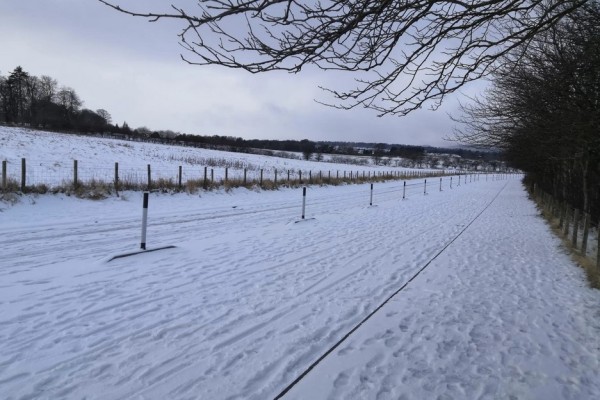 男子醒來發現被幾米高雪困在宿舍 下雪有什么好的寓意