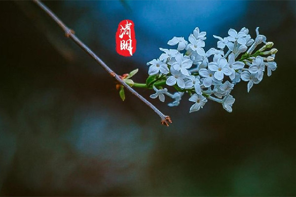 清明節可以去寺廟祈福嗎 清明節去寺廟合適嗎