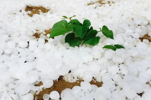 南方多地遭冰雹襲擊 冰雹是哪個(gè)季節(jié)下的